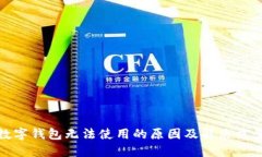 数字钱包无法使用的原因及解决方案