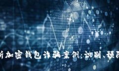 全面解析加密钱包诈骗案例：识别、预防与应对