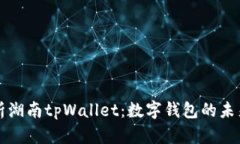 全面解析湖南tpWallet：数字钱包的未来与应用