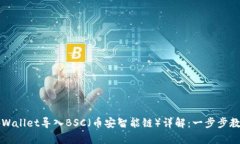 电脑tpWallet导入BSC（币安智能链）详解：一步步教