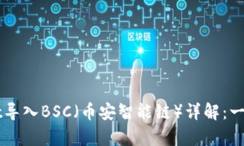 电脑tpWallet导入BSC（币安智能链）详解：一步步教你实现