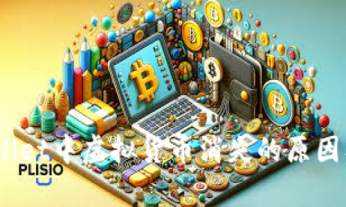 探讨：tpWallet中虚拟货币消失的原因及解决方案