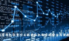 数字钱包依靠什么技术和机制实现安全与便捷？
