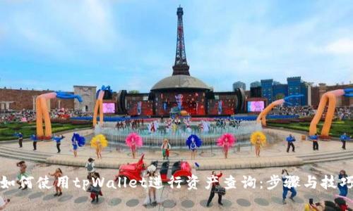 如何使用tpWallet进行资产查询：步骤与技巧