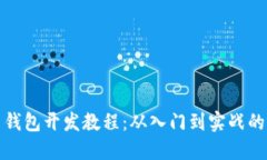 数字货币钱包开发教程：从入门到实战的视频指
