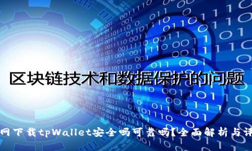 官网下载tpWallet安全吗可靠吗？全面解析与评测