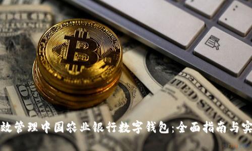 如何高效管理中国农业银行数字钱包：全面指南与实用技巧