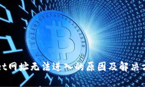 tpWallet网址无法进入的原因及解决方案解析