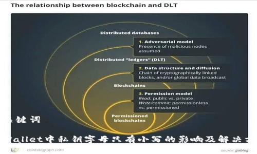 及关键词

tpWallet中私钥字母只有小写的影响及解决方案