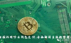 区块链国外用什么钱包支付：全面解析主流数字