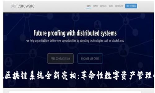 tpWallet区块链系统全新亮相：革命性数字资产管理解决方案
