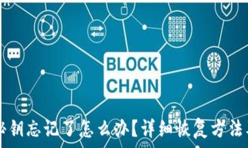   
tpWallet秘钥忘记了怎么办？详细恢复方法及预防技巧