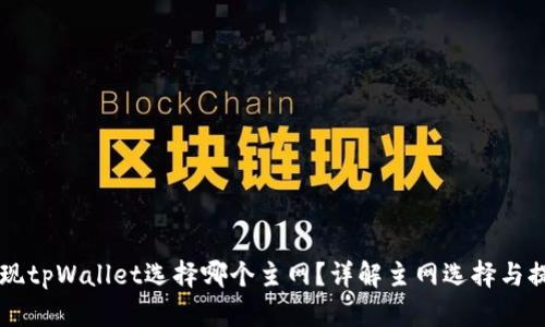 币安提现tpWallet选择哪个主网？详解主网选择与提现流程