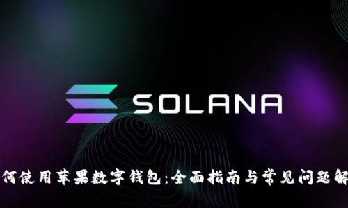 如何使用苹果数字钱包：全面指南与常见问题解答