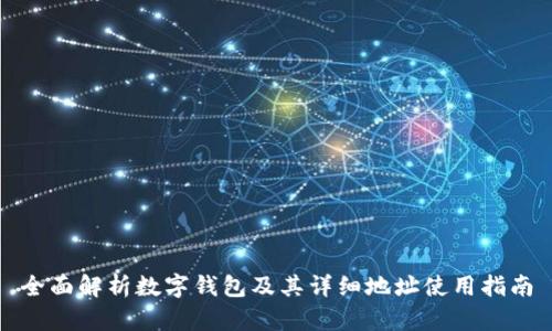 全面解析数字钱包及其详细地址使用指南
