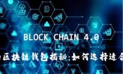 全球最大的区块链钱包揭秘：如何选择适合你的