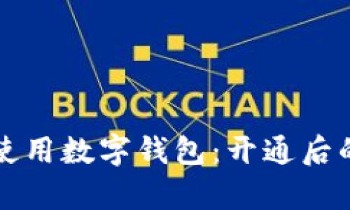 如何有效使用数字钱包：开通后的操作指南