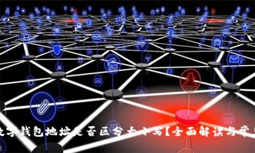 : tp数字钱包地址是否区分大小写？全面解读与常见问题