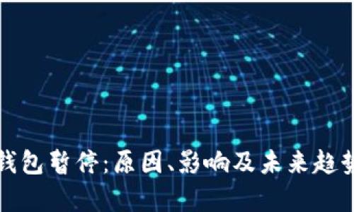数字钱包暂停：原因、影响及未来趋势分析