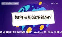 如何将币安U（BUSD）提到TP Wallet的详细步骤与技巧