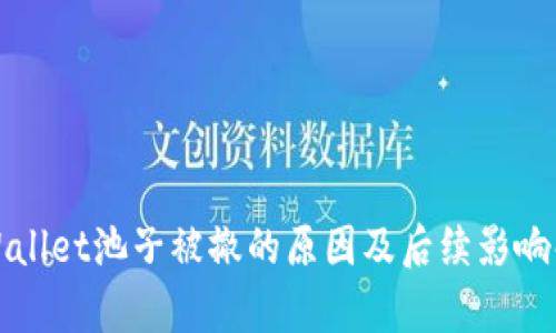 tpWallet池子被撤的原因及后续影响解析