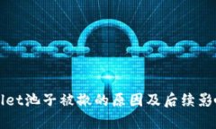 tpWallet池子被撤的原因及后续影响解析