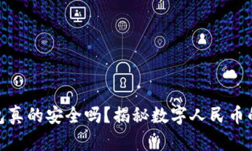 央行数字钱包真的安全吗？揭秘数字人民币的优势与风险