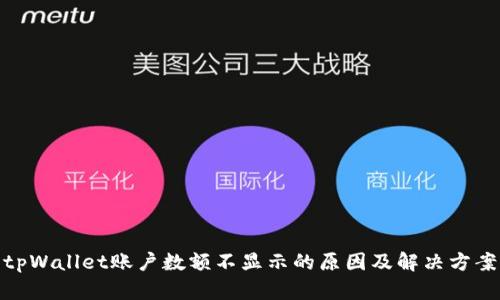 tpWallet账户数额不显示的原因及解决方案