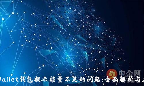   
解决tpWallet钱包提示能量不足的问题：全面解析与应对措施