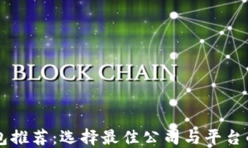 
区块链钱包推荐：选择最佳公司与平台的全面指南
