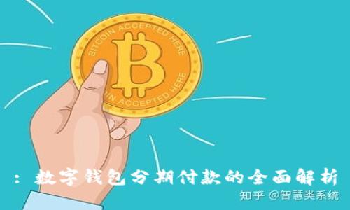 : 数字钱包分期付款的全面解析