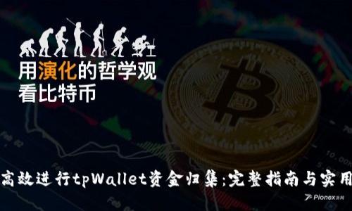 如何高效进行tpWallet资金归集：完整指南与实用技巧