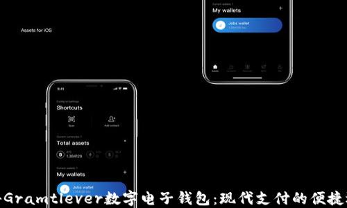 
探秘Gramtlever数字电子钱包：现代支付的便捷选择