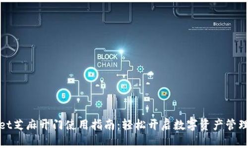 tpWallet芝麻开门使用指南：轻松开启数字资产管理新体验