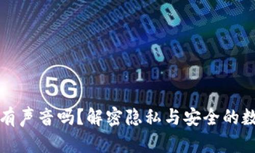数字钱包收款有声音吗？解密隐私与安全的数码支付新方式