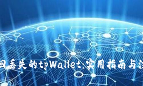 如何找回丢失的tpWallet：实用指南与注意事项