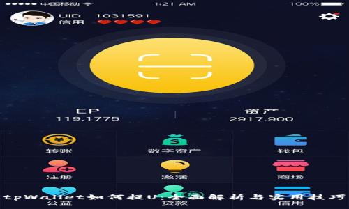 tpWallet如何提U：全面解析与实用技巧