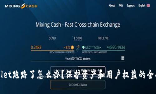 tpWallet跑路了怎么办？保护资产和用户权益的全面指南