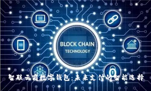 智联云商数字钱包：未来支付的智能选择