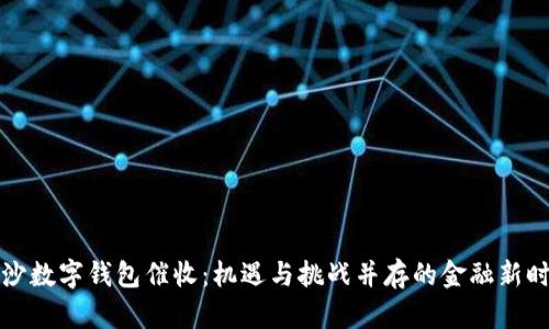 长沙数字钱包催收：机遇与挑战并存的金融新时代