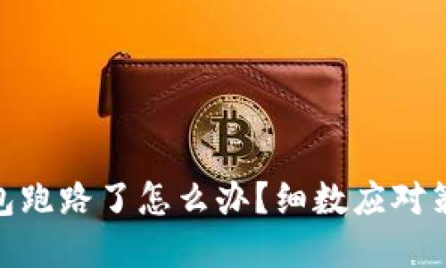 加密货币热钱包跑路了怎么办？细数应对策略与安全措施