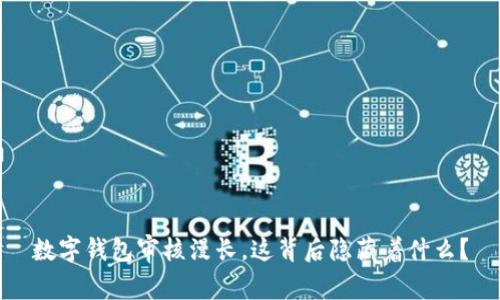 数字钱包审核漫长，这背后隐藏着什么？