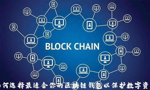 
如何选择最适合你的区块链钱包以保护数字资产