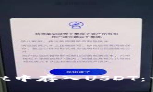 如何在tpWallet中存入USDT：详细指南与技巧