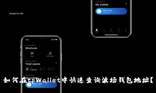 如何在tpWallet中快速查询波场钱包地址？