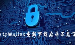 如何解决tpWallet重新下载后币不见了的问题？