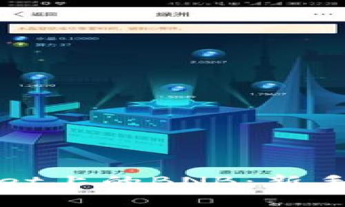 如何购买tpWallet上的BNB：新手指南与实用技巧