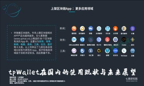 tpWallet在国内的使用现状与未来展望