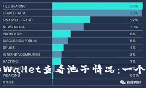 如何使用tpWallet查看池子情况：一个完整的指南