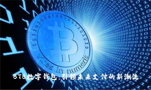 BTB数字钱包：引领未来支付的新潮流